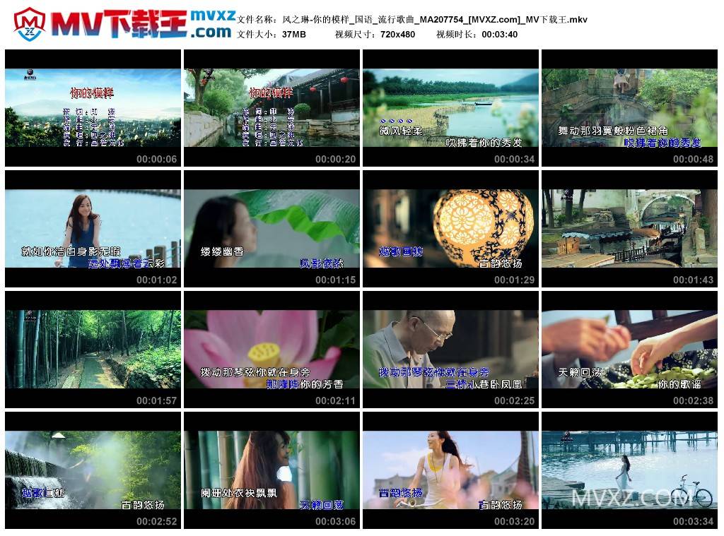 风之琳-你的模样_国语_流行歌曲_MA207754